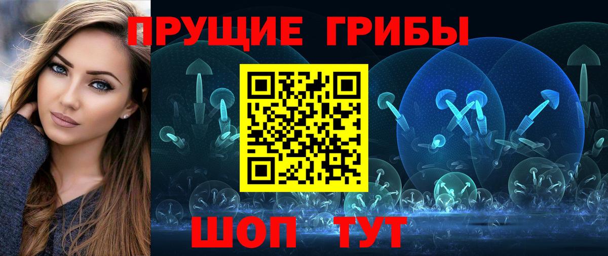 Псилоцибиновые грибы прущие грибы  Вход с VPN  купить наркотики цена  Нововоронеж  Псилоцибиновые грибы MAGIC MUSHROOMS 