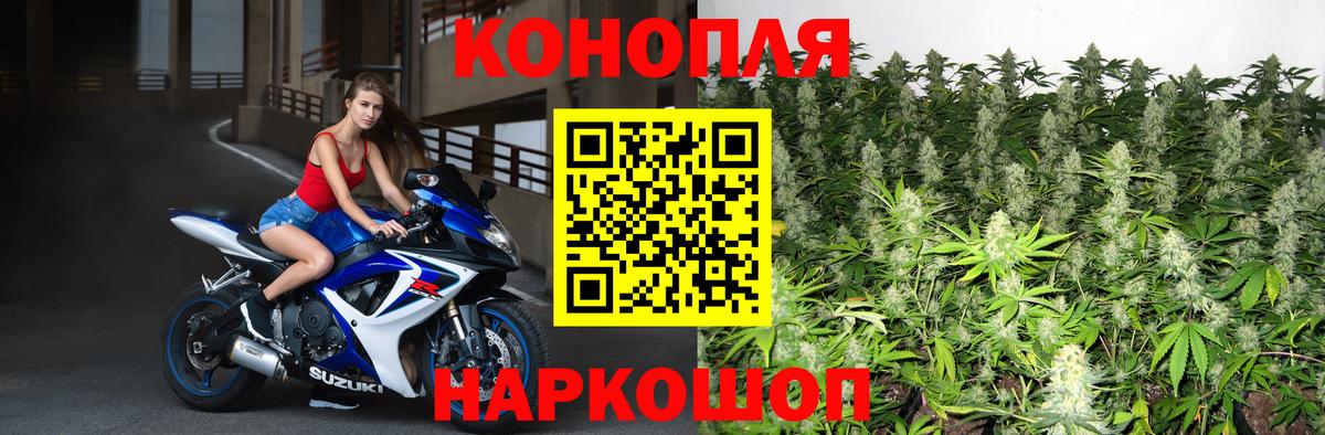Бошки марихуана тримм Нововоронеж
